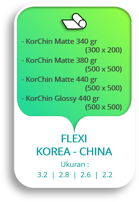 FLEXI KOREA CHINA