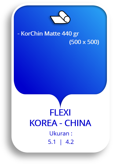 FLEXI KOREA CHINA